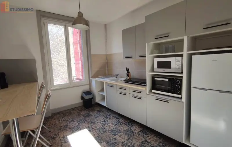 Studio meublé 33m² Lyon 3e - Proche métro, lumineux - Photo 3
