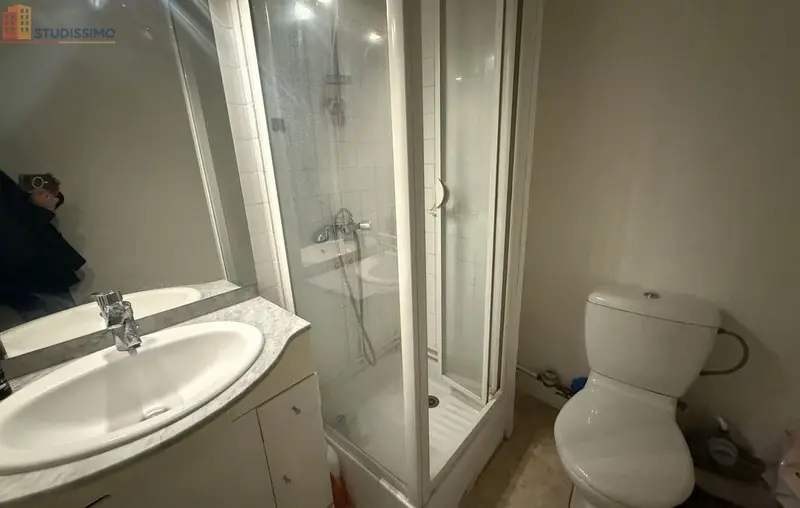 Studio 27m² Saint-Jean-de-Braye - Étage élevé, lumineux - Photo 3