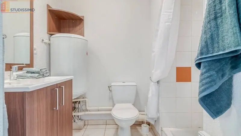 Studio 17m² Lyon 7e - Meublé, 1 pièce - Photo 3