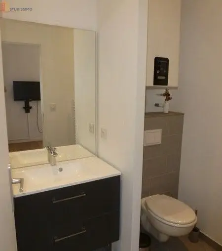 Studio 23m² Caluire-et-Cuire - Meublé, calme - Photo 1