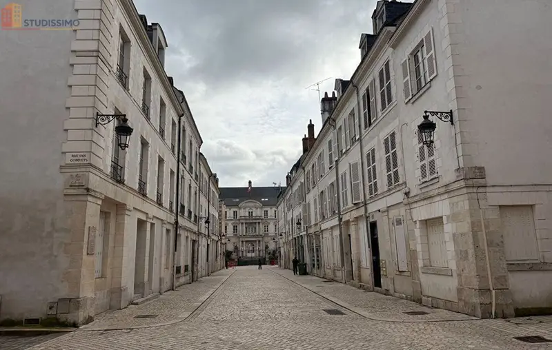 Studio 39m² Orléans - DPE C, 1er étage - Photo 1