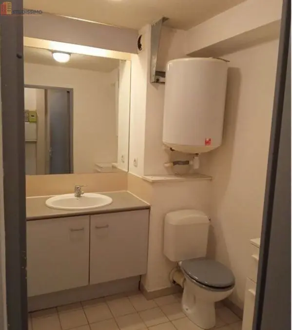Studio 24m² Lyon 7e - Meublé, lumineux - Photo 1