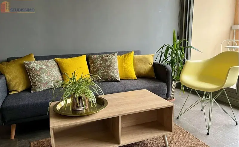 Studio 33m² Lyon 5e - Meublé, grand et lumineux - Photo 2