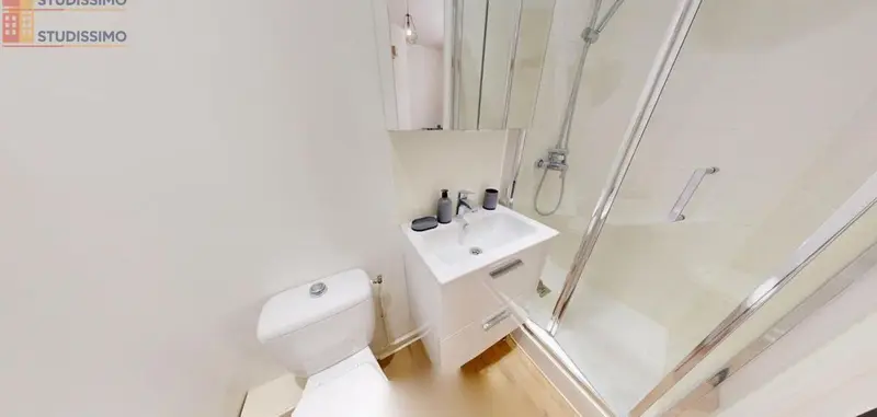 Studio meublé 15m² Lyon 7e - Meublé, DPE C - Photo 3