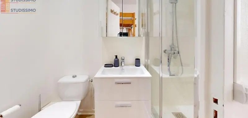 Studio meublé 15m² Lyon 7e - Meublé, DPE C - Photo 1