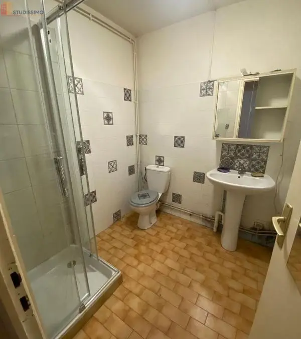 Studio 43m² Feyzin - spacieux, lumineux - Photo 2