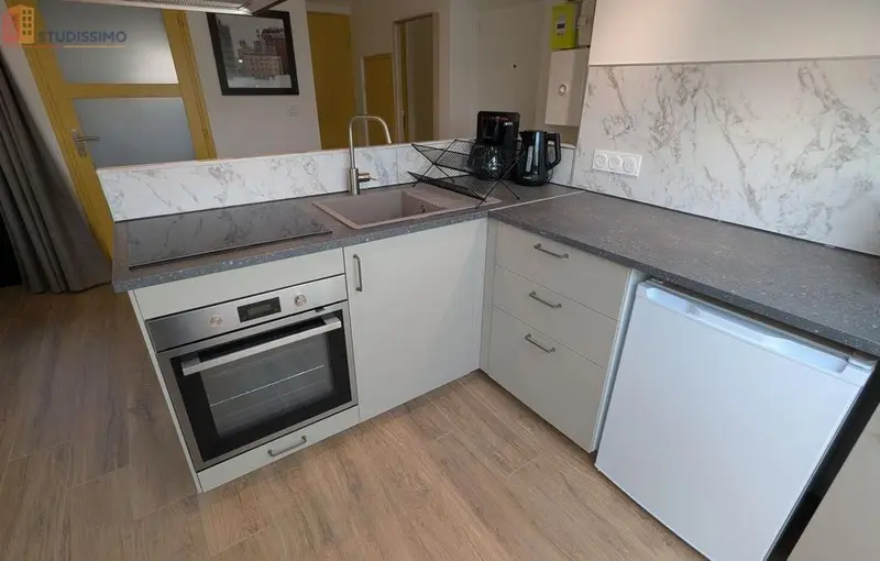Studio 28m² Villeurbanne - Meublé, traversant et lumineux - Photo 2