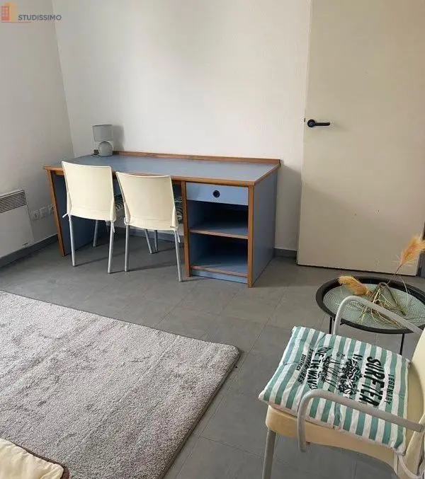 Studio meublé 19m² Lyon 7e - Balcon, lumineux - Photo 2
