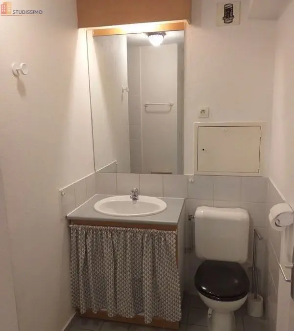 Studio meublé 25m² Villeurbanne - Lumineux, meublé - Photo 1