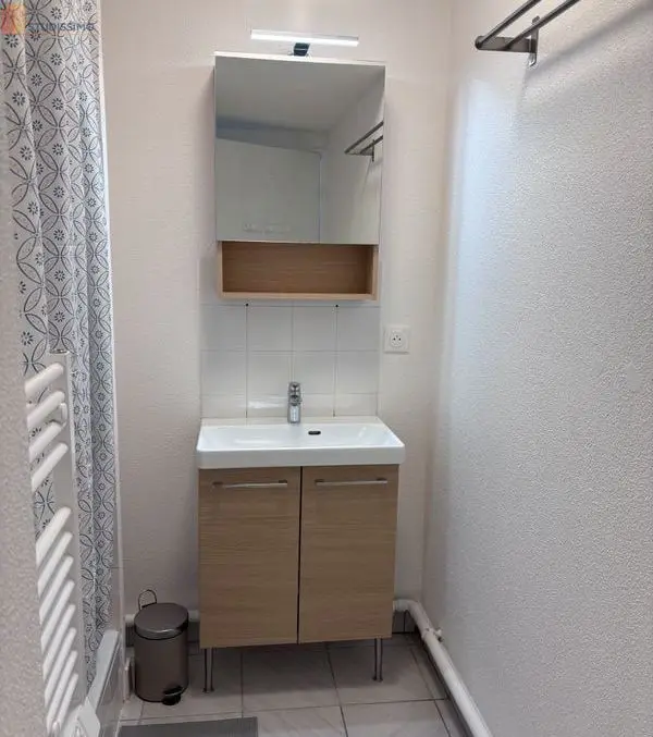 Studio meublé 31m² Villeurbanne - Refait à neuf, garage - Photo 1