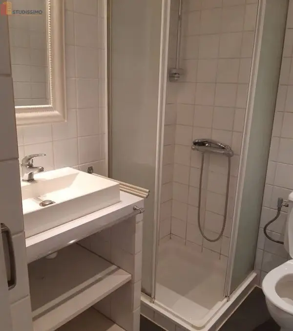 Studio meublé 18m² Écully - Calme, proche parc et piscine - Photo 1