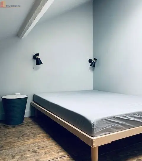 Studio 29m² Lyon 3e - Meublé, dans villa ancienne - Photo 1