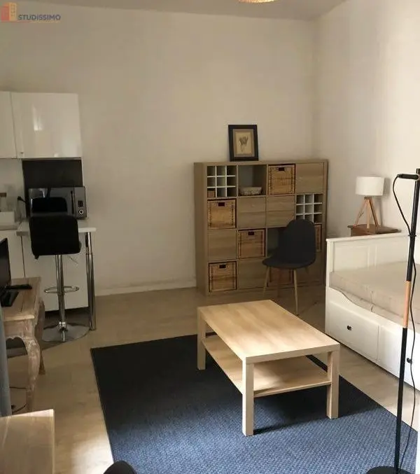 Studio 28m² Lyon 6e Saint-Pothin - Meublé, lumineux - Photo 9