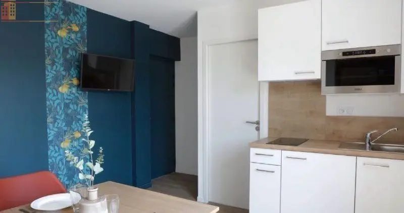 Studio meublé 19m² Lyon 7e - Meublé, DPE B - Photo 2