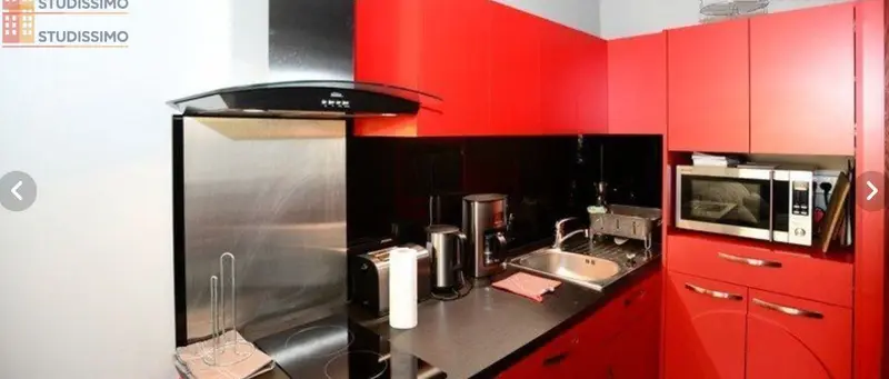 Studio meublé 31m² Lyon 3e - Lumineux, meublé - Photo 5