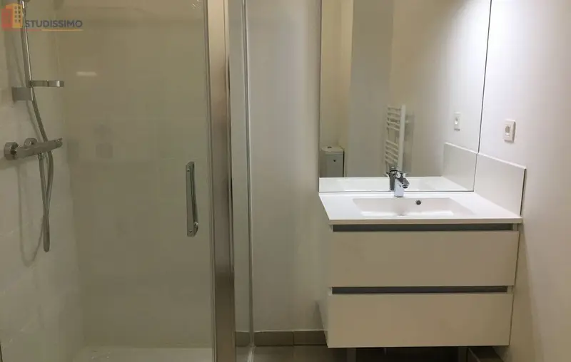 Studio meublé 28m² Villeurbanne - Lumineux, meublé - Photo 2