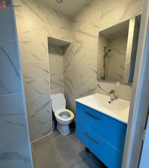 Studio meublé 26m² Lyon 4e Croix-Rousse - Lumineux, dernier étage - Photo 1