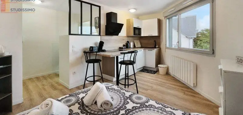 Studio meublé 22m² Villeurbanne - Rénové, proche campus de la Doua - Photo 2