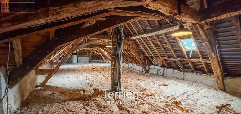 Studio 50m² Chalonnes-sur-Loire - Étage élevé, lumineux - Photo 1