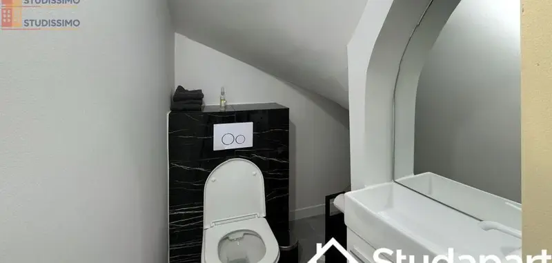 Studio meublé 95m² Rouen 76100 - Grand, DPE A - Photo 3