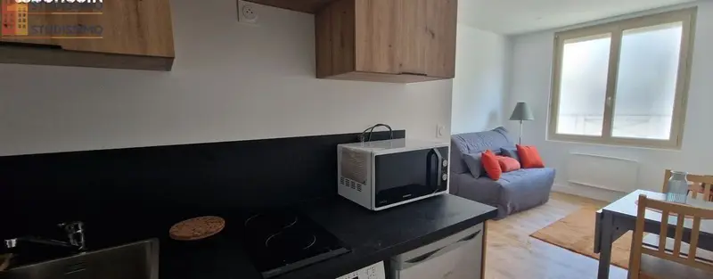 Studio meublé 18m² Oullins-Pierre-Bénite - Équipé, lumineux - Photo 3