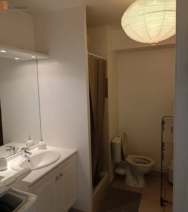 Studio meublé 21m² Caluire-et-Cuire - Parking, proche métro - Photo 3