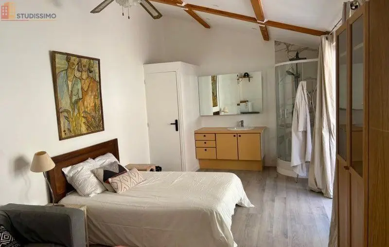 Studio meublé 25m² Saint-Cyr-au-Mont-d'Or - Meublé, 1er étage - Photo 1