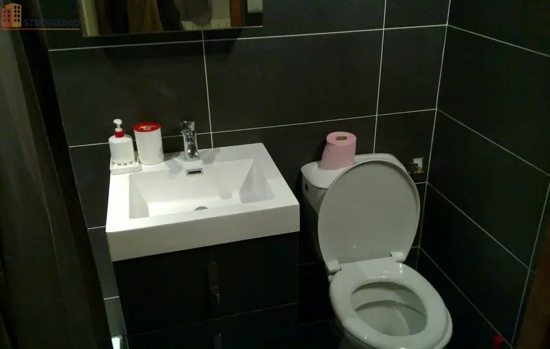 Studio meublé 15m² Lyon 3e Montchat - Entièrement rénové, charmant - Photo 2