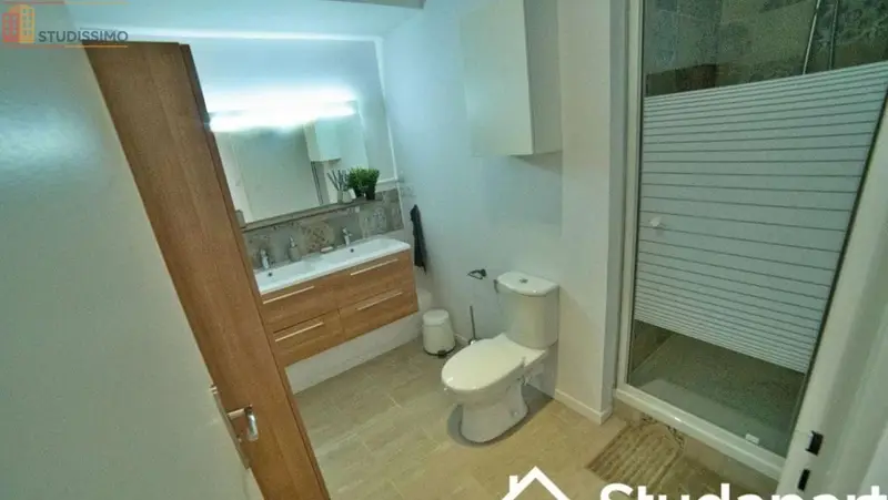 Studio 11m² Villeurbanne - Meublé, lumineux - Photo 2