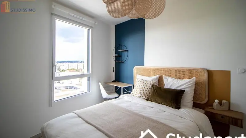 Studio 10m² Villeurbanne - Meublé, lumineux - Photo 4