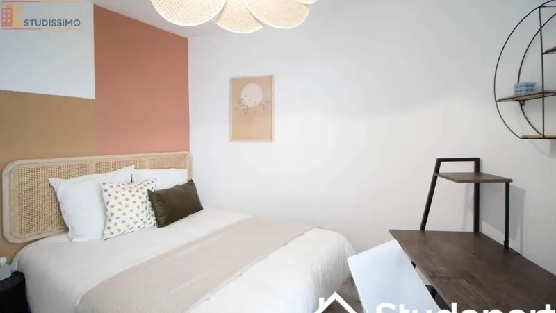 Studio 10m² Villeurbanne - Meublé, lumineux - Photo 2
