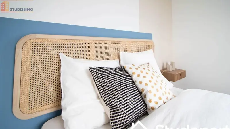 Studio 10m² Villeurbanne - Meublé, lumineux - Photo 4