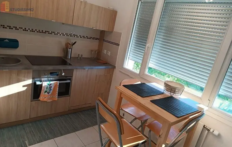Studio 46m² Villeurbanne - Proche Tête d'Or, garage, meublé - Photo 2
