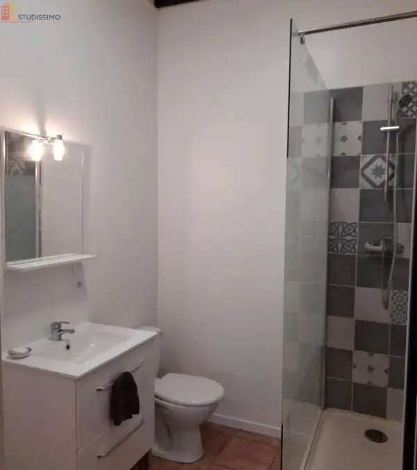 Studio meublé 31m² Belleville-en-Beaujolais - Meublé, DPE D - Photo 1