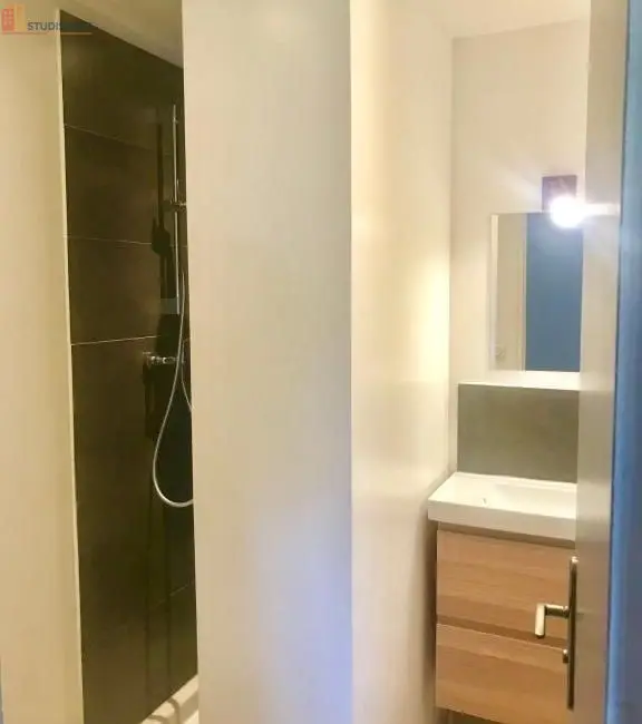 Studio 31m² Belleville-en-Beaujolais - Meublé, duplex - Photo 1