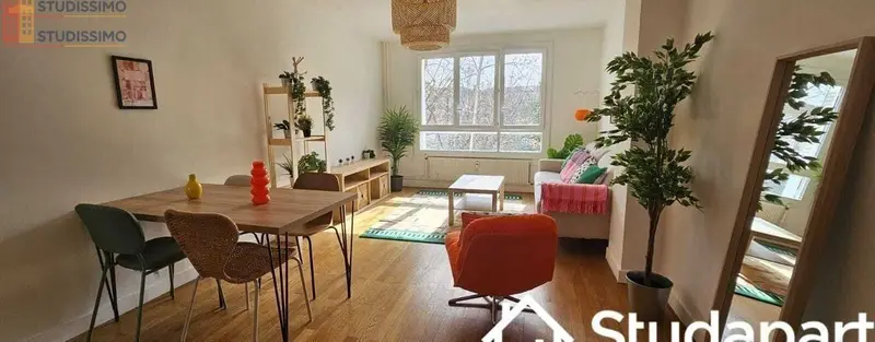 Studio meublé 10m² Lyon 7e - Petit, lumineux - Photo 3