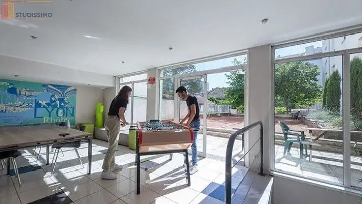 Studio meublé 17m² Villeurbanne - Étage élevé, lumineux - Photo 14