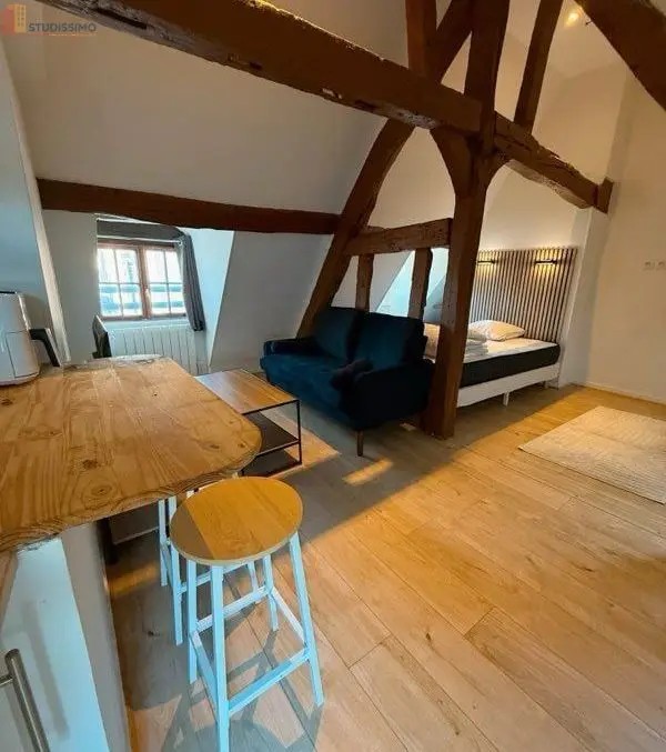 Studio meublé 22m² Rouen centre - Hypercentre, lumineux - Photo 1