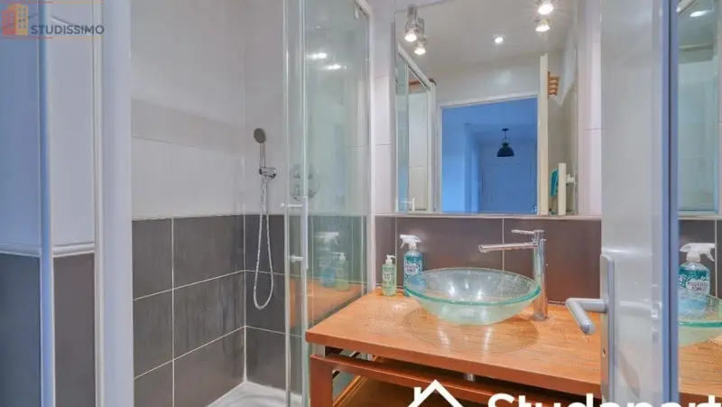 Studio 12m² Lieusaint - Meublé, 3e étage - Photo 6