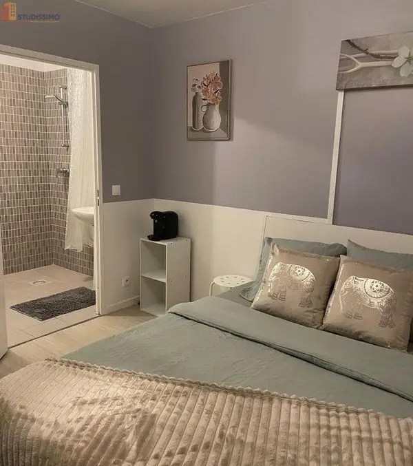 Studio meublé 20m² Montévrain Val d'Europe - Proche RER A, Disney - Photo 4