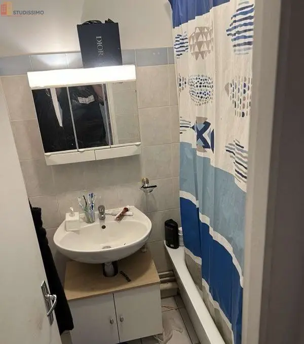 Studio meublé 38m² Dammartin-en-Goële - Meublé, DPE B - Photo 1