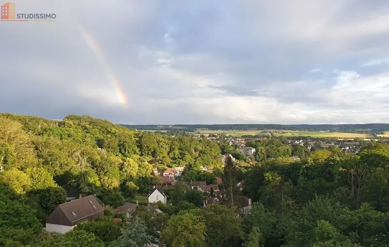 Studio 45m² Neauphle-le-Château - Meublé, vue exceptionnelle - Photo 2