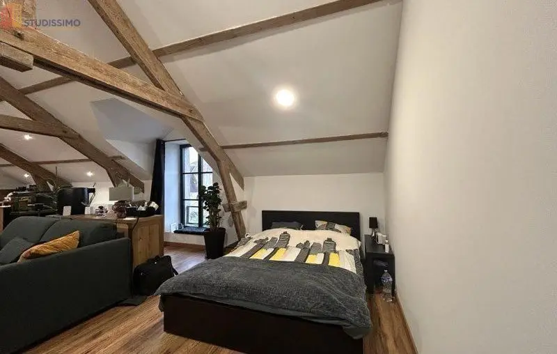 Studio meublé 52m² Villiers-le-Mahieu - Atypique - Photo 1
