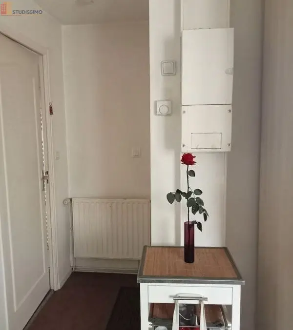 Studio 19m² Hennebont - lumineux - Photo 4
