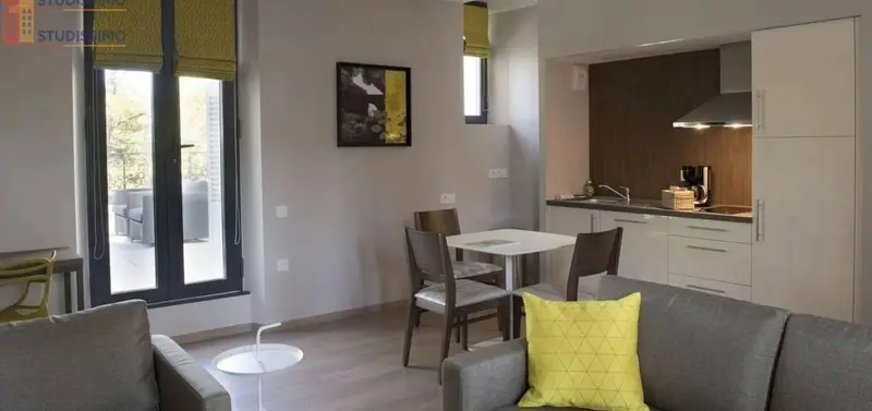 Studio 45m² Parthenay - Meublé - Photo 5