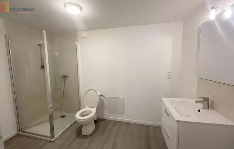 Studio 43m² Réalmont - Lumineux, spacieux - Photo 4