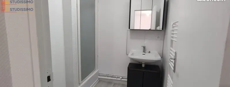 Studio 29m² Mazamet centre - Lumineux - Photo 2