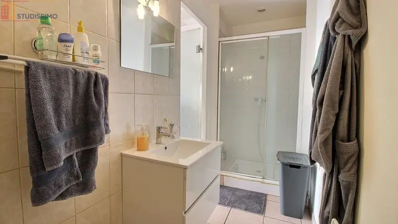 Studio 25m² Lavaur - Meublé, lumineux - Photo 3