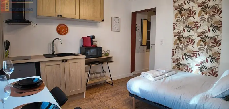 Studio meublé 20m² Montauban centre - Rénové, lumineux - Photo 3