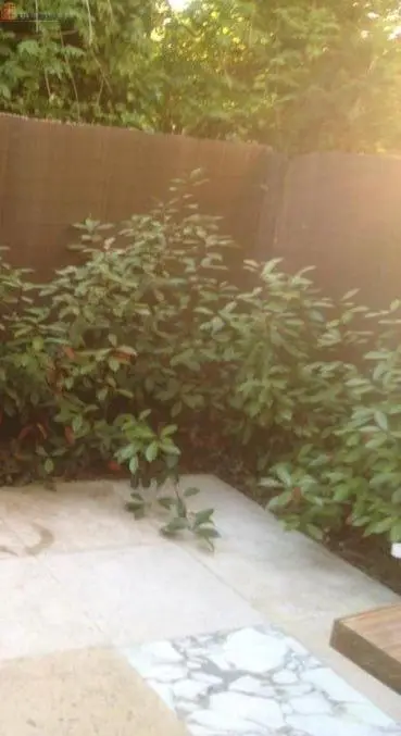 Studio meublé 20m² Saint-Tropez - Saisonnier, meublé - Photo 2
